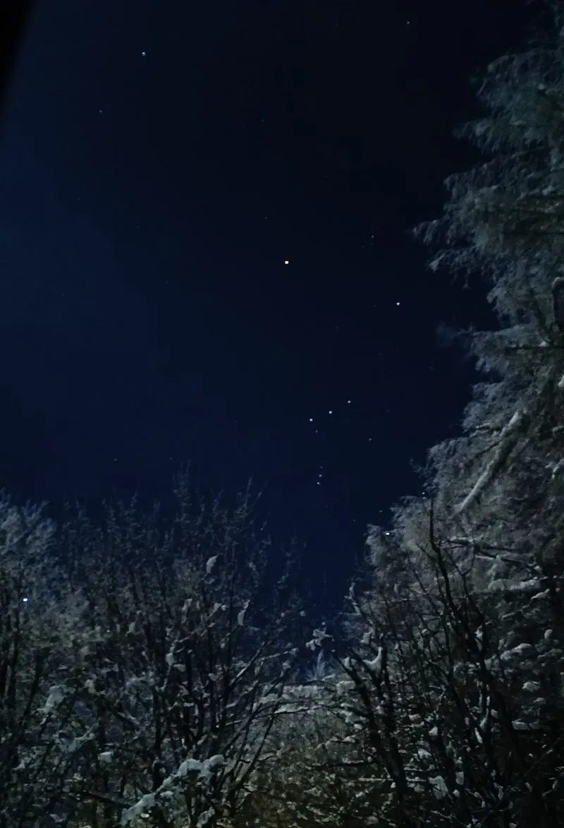Orione sopra il bosco innevato a Capannette di Pej